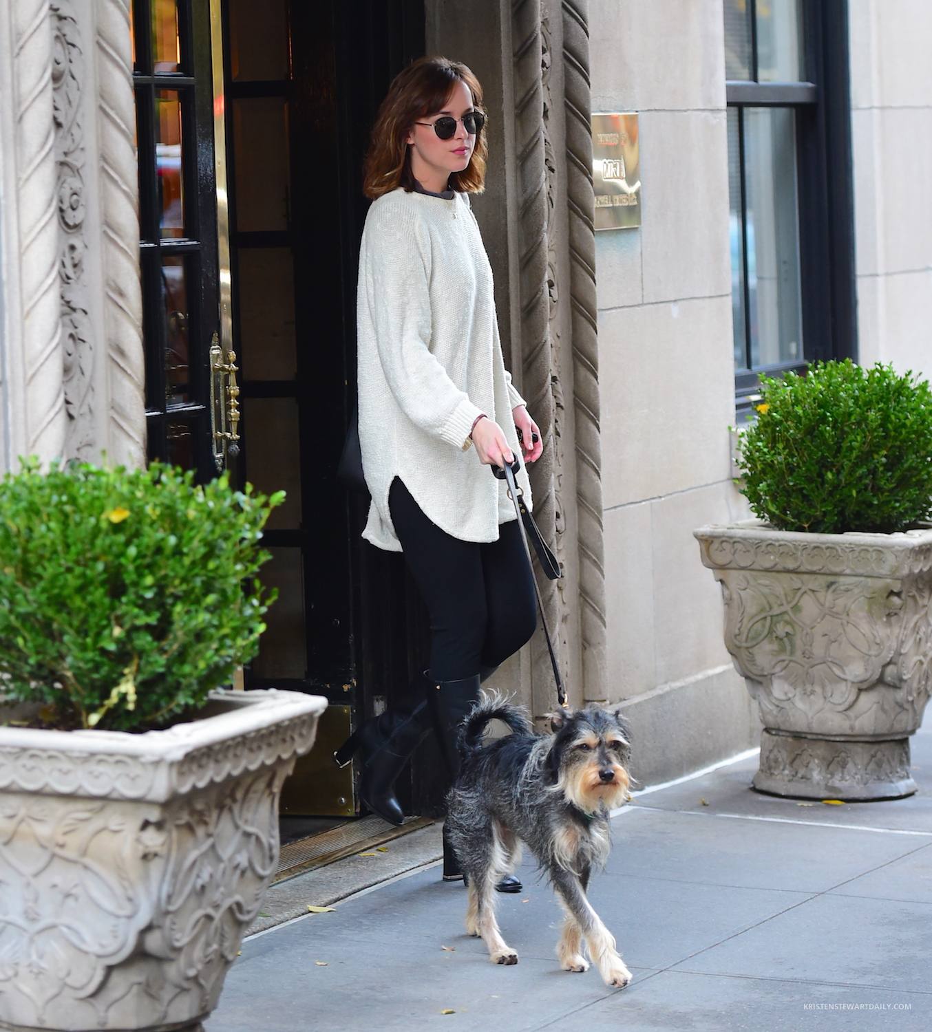 10.jpg 10.jpg