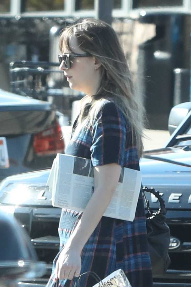 Dakota_Johnson_-_At_the_Pavillions_Mall_on_January_16-01.jpg