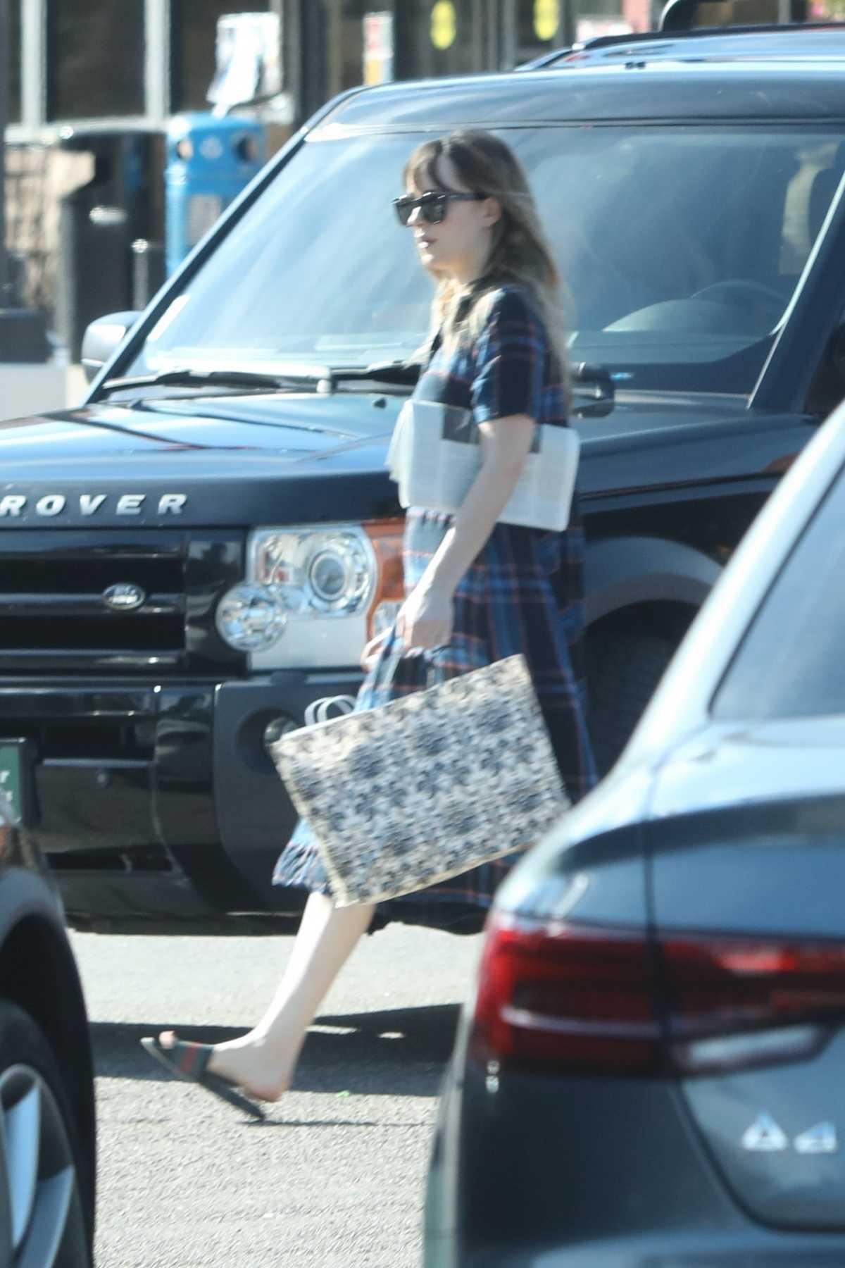 Dakota_Johnson_-_At_the_Pavillions_Mall_on_January_16-02.jpg