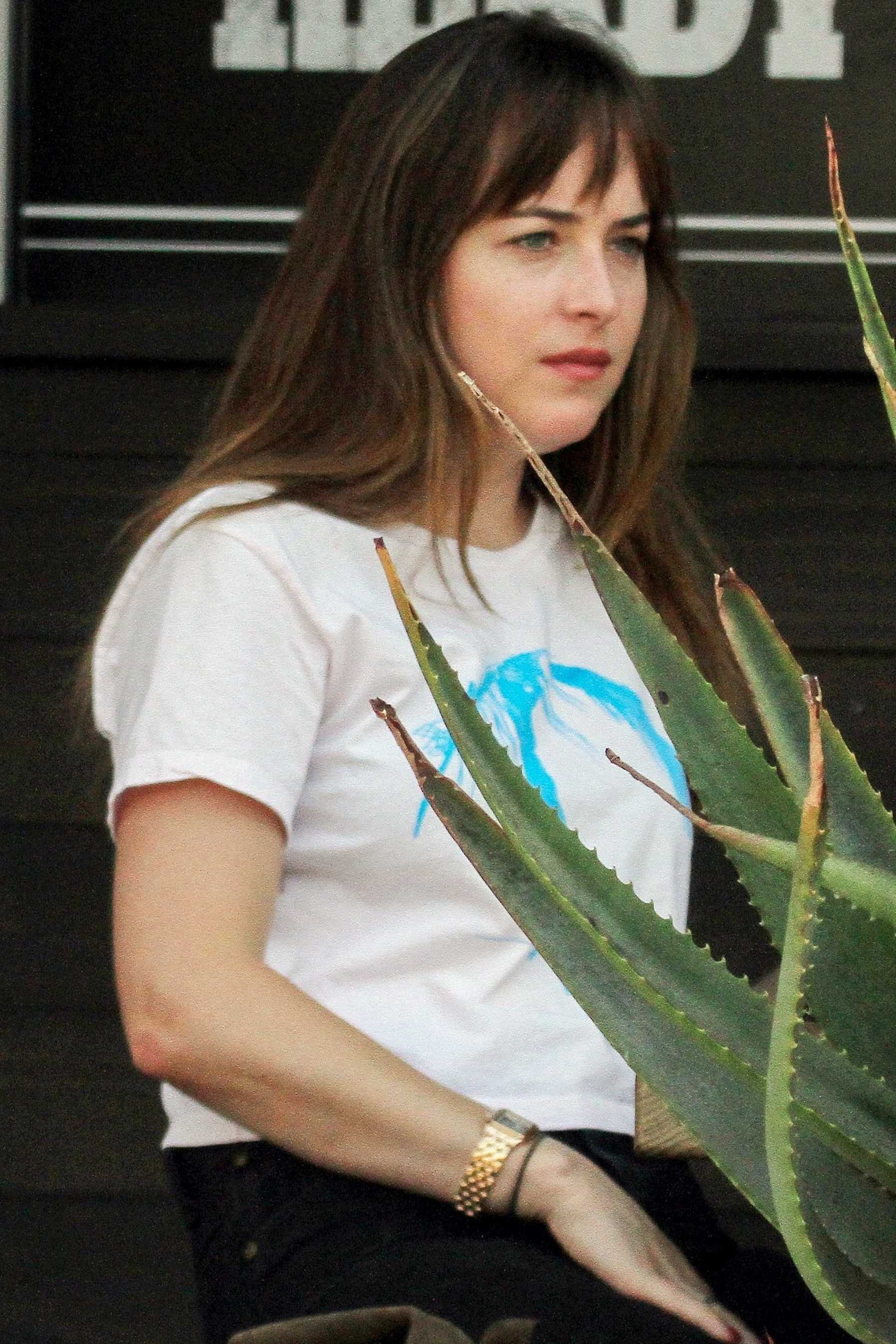 Dakota_Johnson_-_In_Los_Angeles_on_August_29-14.jpg