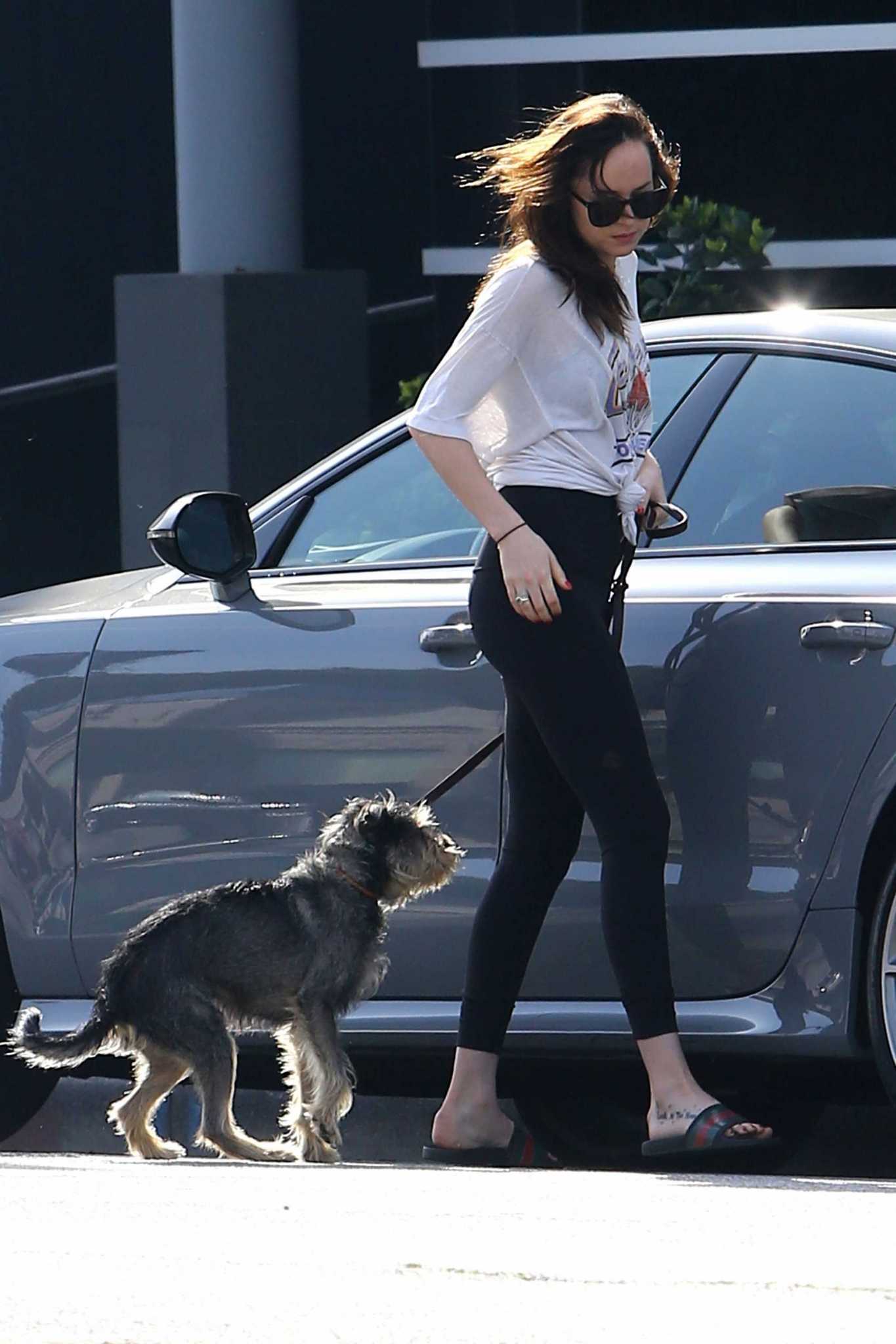 Dakota_Johnson_-_Out_with_her_dog_in_West_Hollywood_on_March_17-02.jpg Dakota_Johnson_-_Out_with_her_dog_in_West_Hollywood_on_March_17-02.jpg