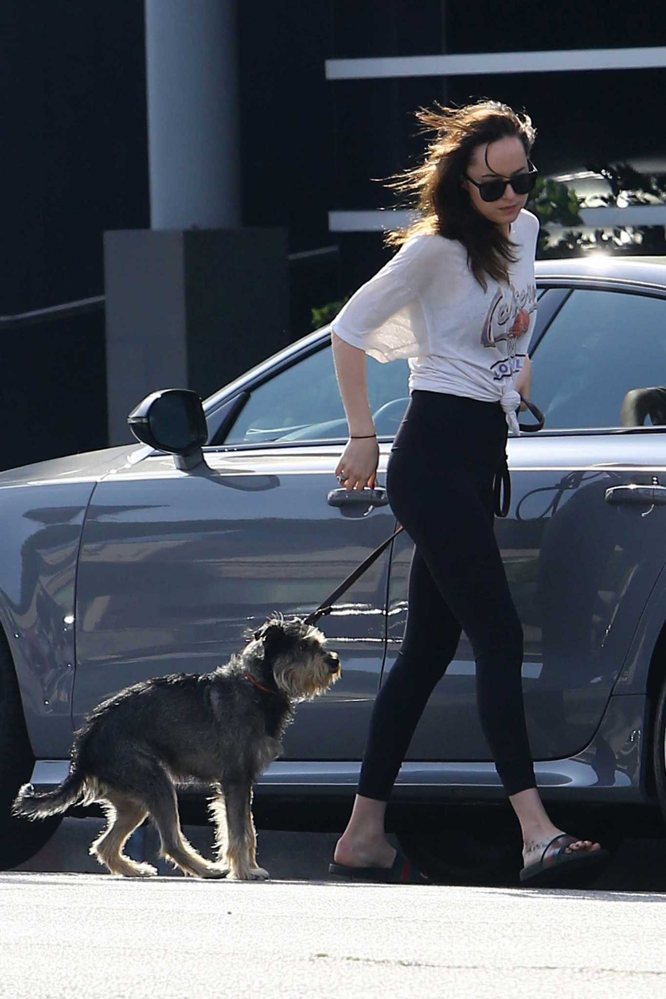 Dakota_Johnson_-_Out_with_her_dog_in_West_Hollywood_on_March_17-04.jpg Dakota_Johnson_-_Out_with_her_dog_in_West_Hollywood_on_March_17-04.jpg