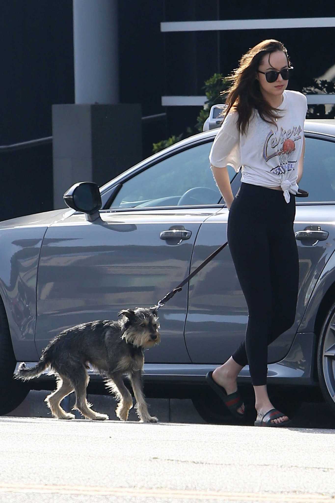 Dakota_Johnson_-_Out_with_her_dog_in_West_Hollywood_on_March_17-05.jpg Dakota_Johnson_-_Out_with_her_dog_in_West_Hollywood_on_March_17-05.jpg