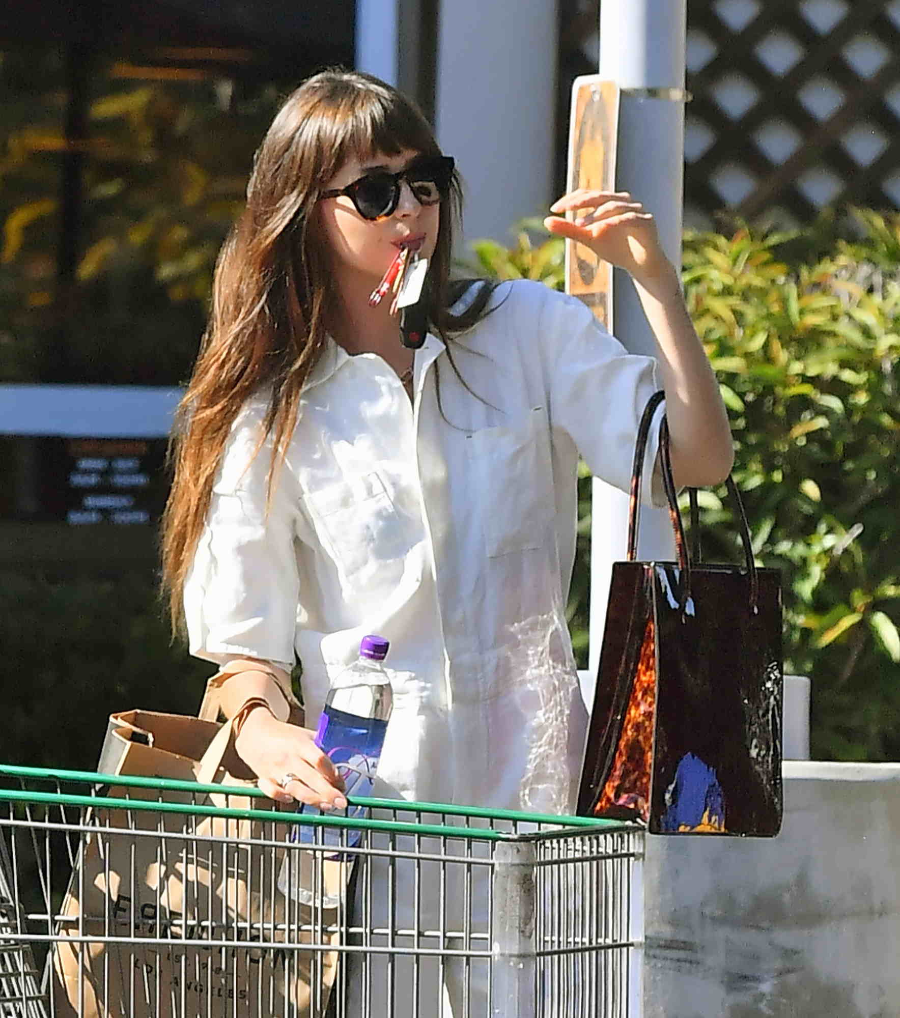 Leaves_a_grocery_store_in_Calabasas_-_September_131.jpg Leaves_a_grocery_store_in_Calabasas_-_September_131.jpg