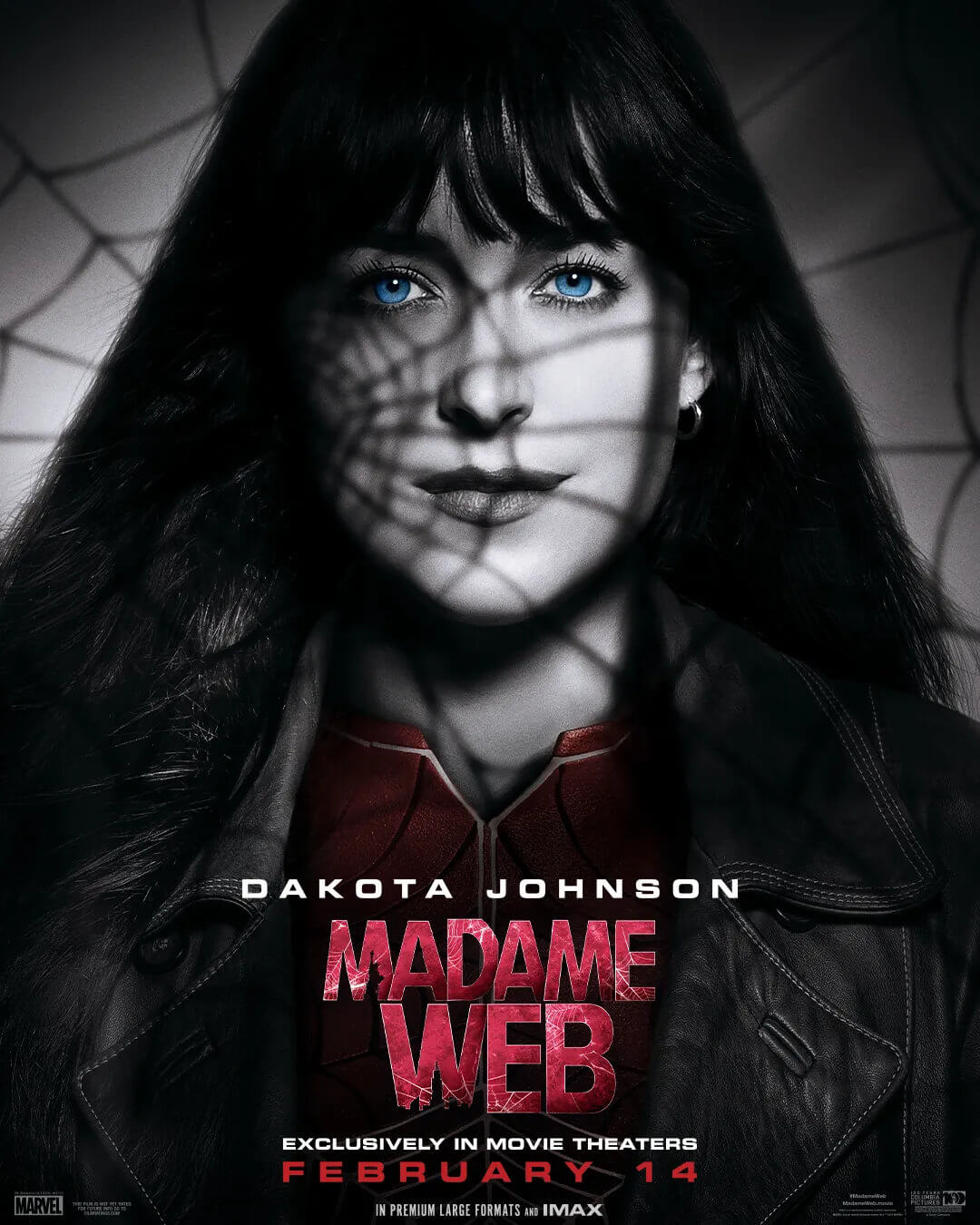 Madame_Web_281229.jpg