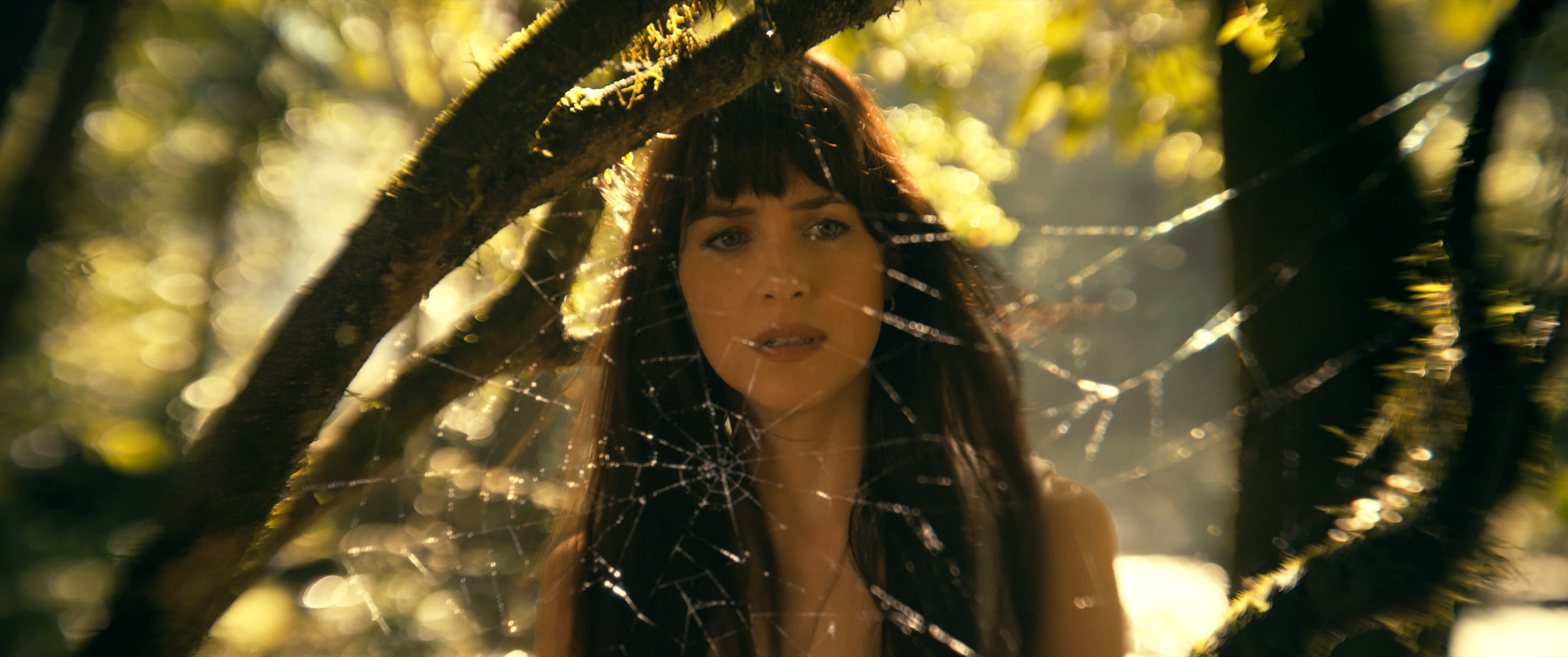 Madame_Web_28429.jpg