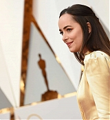 Filename=Dakota_Johnson_-_89th_Annual_Academy_Awards_in_Hollywood_02262017-17.jpg
Filesize=106KiB
Dimensions=2000x1422
Date added=Feb 27, 2017 Dakota_Johnson_-_89th_Annual_Academy_Awards_in_Hollywood_02262017-17.jpg