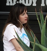 Filename=Dakota_Johnson_-_In_Los_Angeles_on_August_29-19.jpg
Filesize=196KiB
Dimensions=2500x1667
Date added=Sep 05, 2017 Dakota_Johnson_-_In_Los_Angeles_on_August_29-19.jpg
