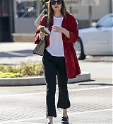 Dakota_Johnson_-_In_Los_Angeles_on_November_8-14.jpg